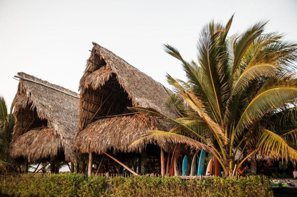 Paredon Surf House Hotel El Paredón Buena Vista Стая снимка