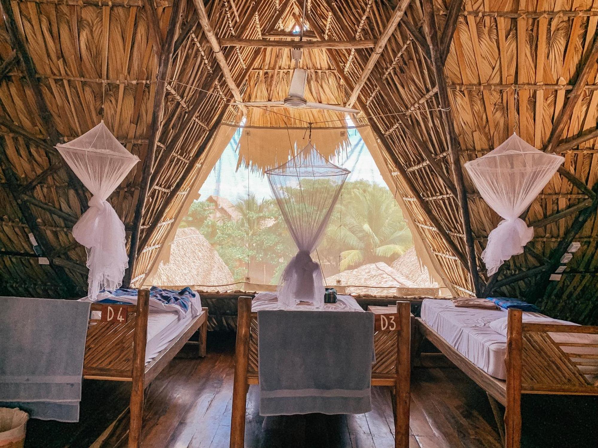 Paredon Surf House Hotel El Paredón Buena Vista Стая снимка