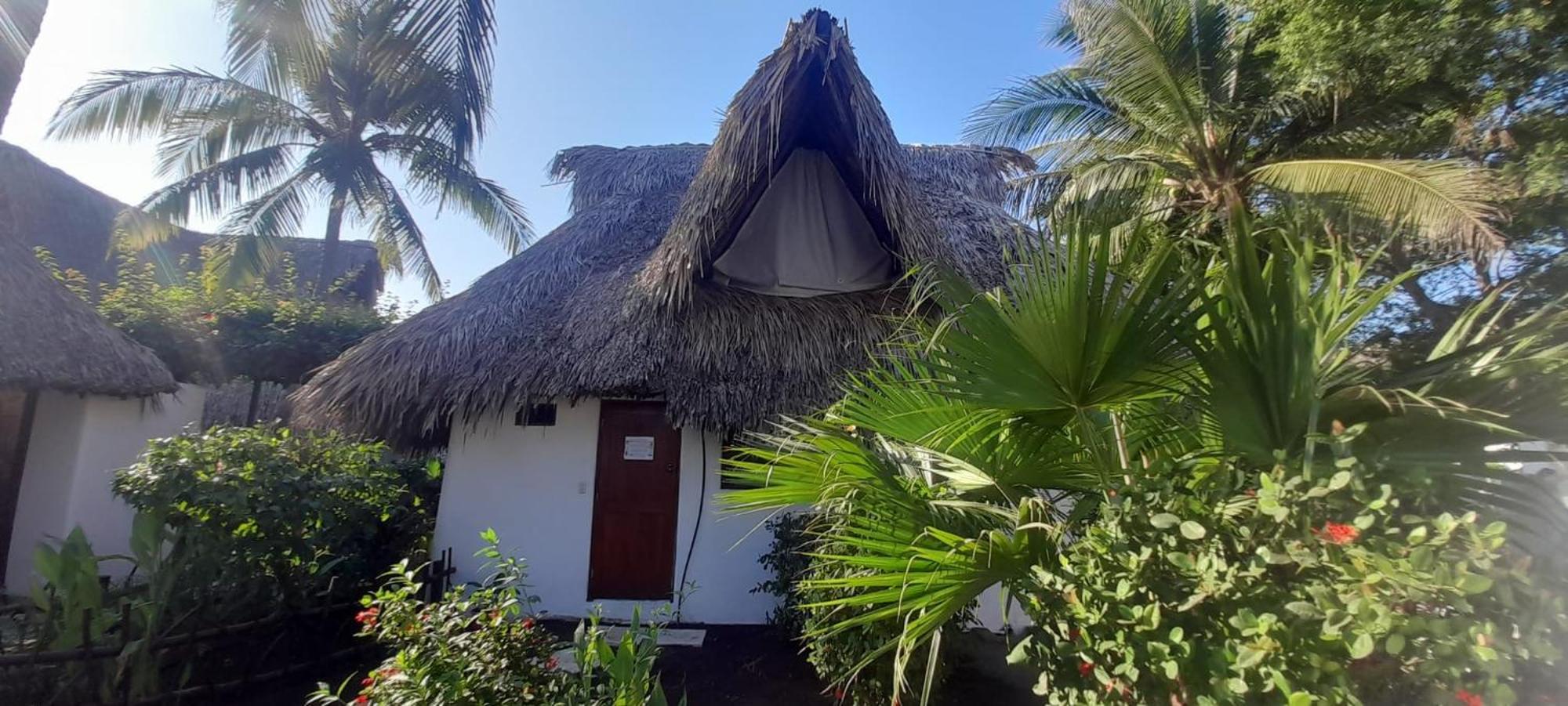 Paredon Surf House Hotel El Paredón Buena Vista Екстериор снимка